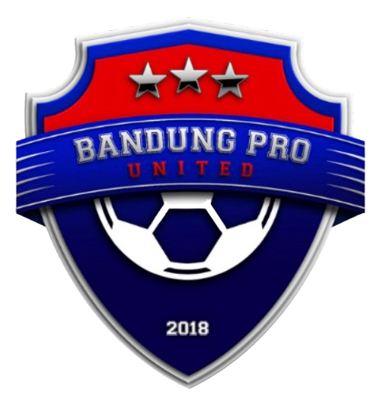 Soccer Ball Logo